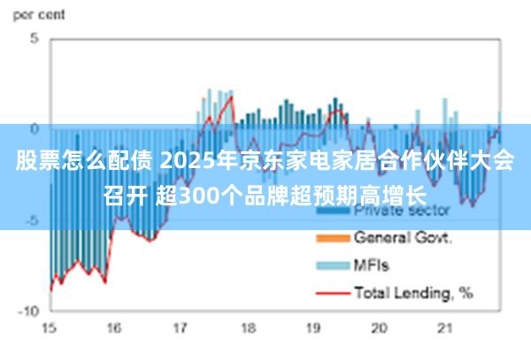 股票怎么配债 2025年京东家电家居合作伙伴大会召开 超300个品牌超预期高增长