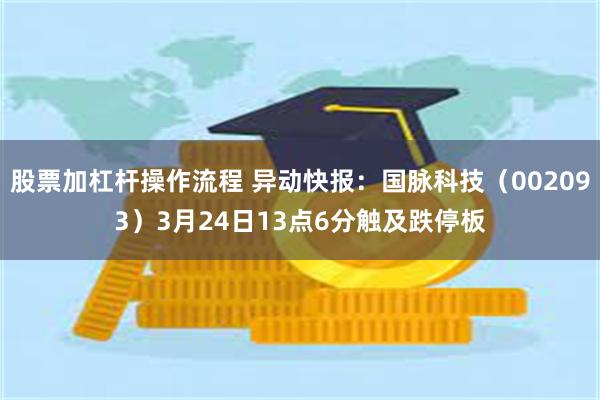 股票加杠杆操作流程 异动快报：国脉科技（002093）3月24日13点6分触及跌停板
