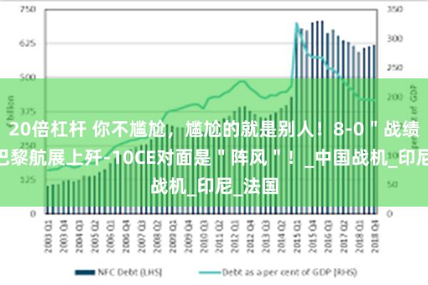 20倍杠杆 你不尴尬，尴尬的就是别人！8-0＂战绩＂ ，巴黎航展上歼-10CE对面是＂阵风＂！_中国战机_印尼_法国